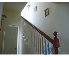 ��ľ����